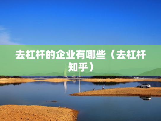 去杠杆的企业有哪些（去杠杆知乎）