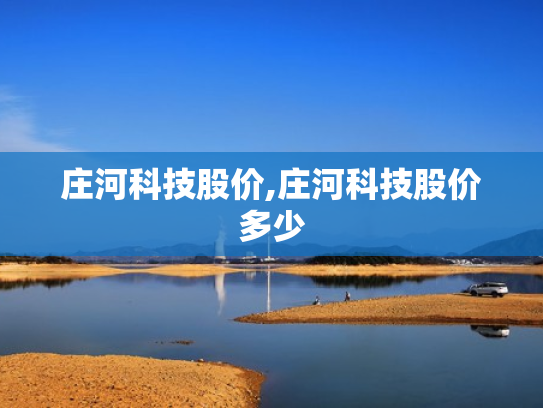 庄河科技股价,庄河科技股价多少