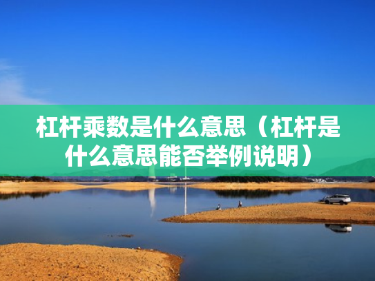 杠杆乘数是什么意思（杠杆是什么意思能否举例说明）