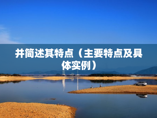 并简述其特点（主要特点及具体实例）
