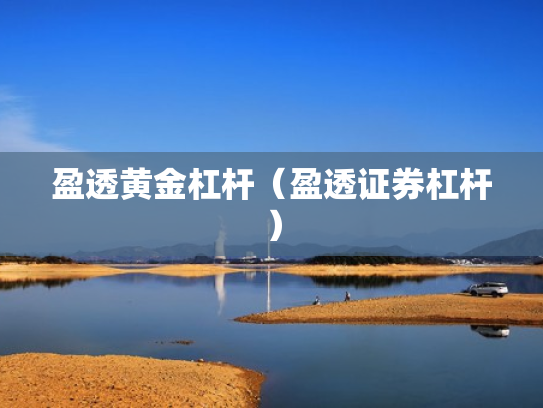 盈透黄金杠杆（盈透证券杠杆）