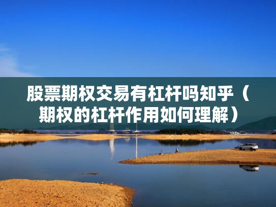 股票期权交易有杠杆吗知乎（期权的杠杆作用如何理解）