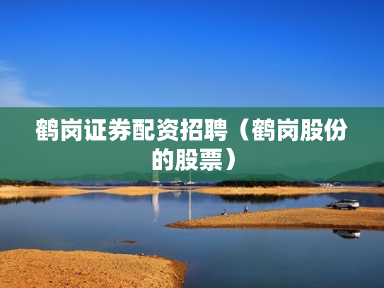 鹤岗证券配资招聘（鹤岗股份的股票）