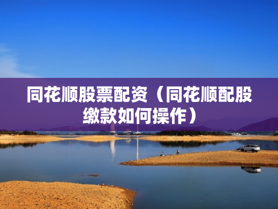 同花顺股票配资（同花顺配股缴款如何操作）