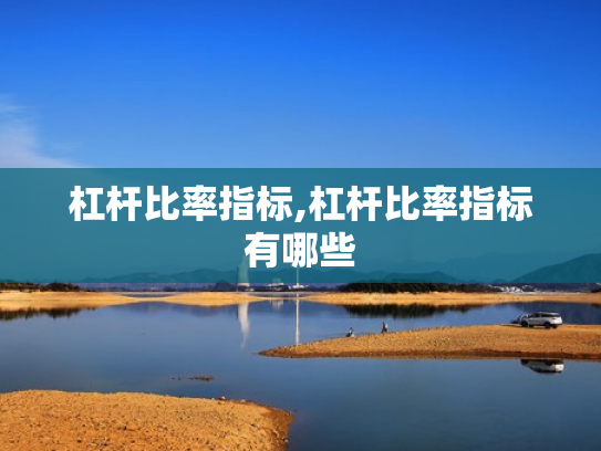 杠杆比率指标,杠杆比率指标有哪些