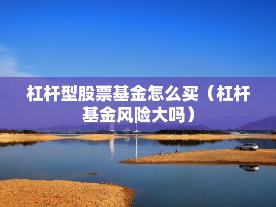 杠杆型股票基金怎么买（杠杆基金风险大吗）