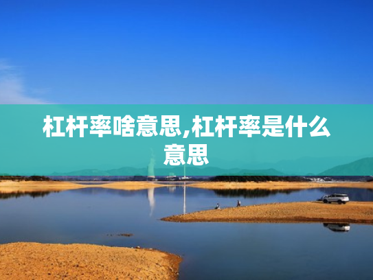 杠杆率啥意思,杠杆率是什么意思