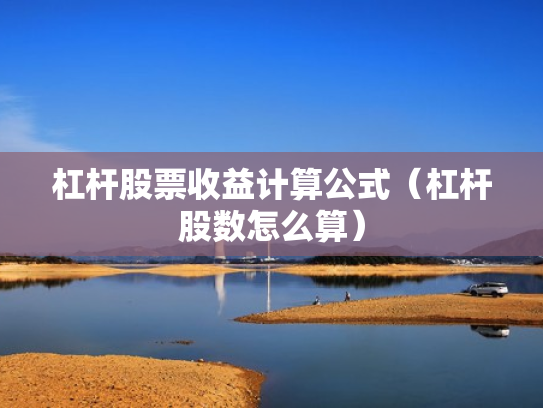 杠杆股票收益计算公式（杠杆股数怎么算）