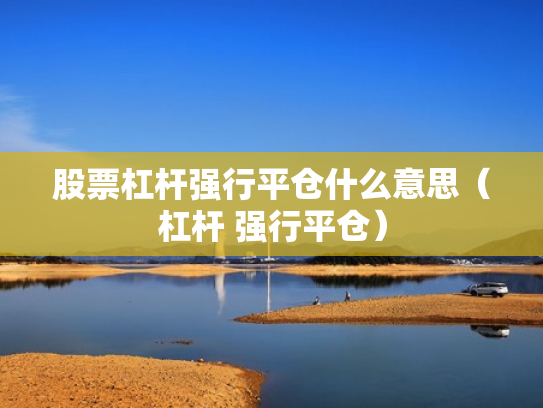 股票杠杆强行平仓什么意思（杠杆 强行平仓）
