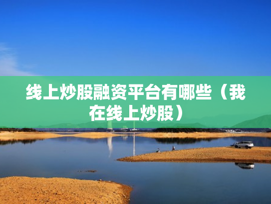 线上炒股融资平台有哪些（我在线上炒股）