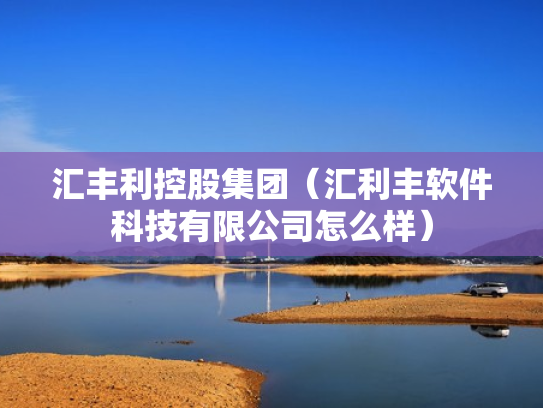 汇丰利控股集团（汇利丰软件科技有限公司怎么样）