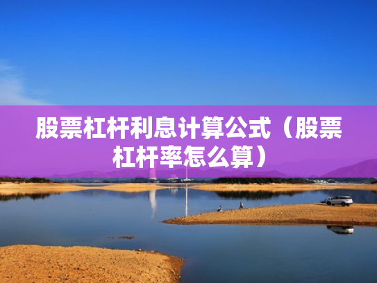 股票杠杆利息计算公式（股票杠杆率怎么算）