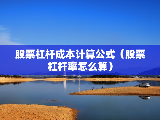 股票杠杆成本计算公式（股票杠杆率怎么算）