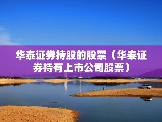 华泰证券持股的股票（华泰证券持有上市公司股票）