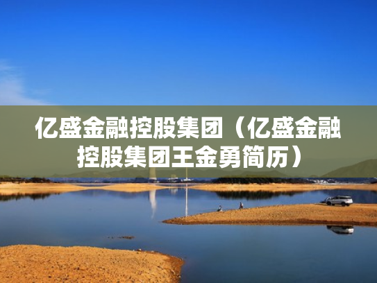 亿盛金融控股集团（亿盛金融控股集团王金勇简历）
