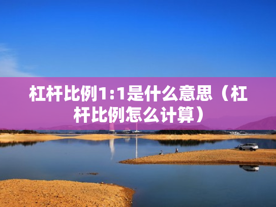 杠杆比例1:1是什么意思（杠杆比例怎么计算）