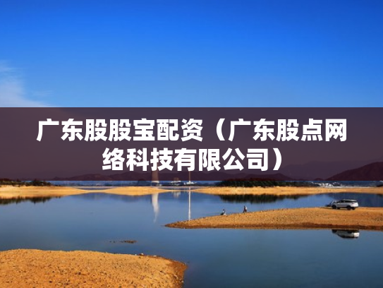 广东股股宝配资（广东股点网络科技有限公司）