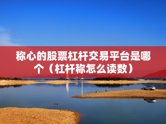 称心的股票杠杆交易平台是哪个（杠杆称怎么读数）