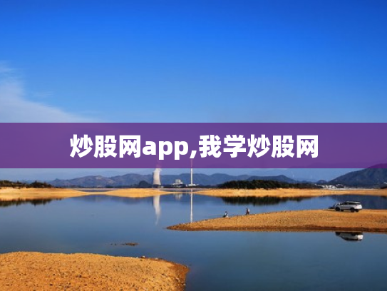 炒股网app,我学炒股网