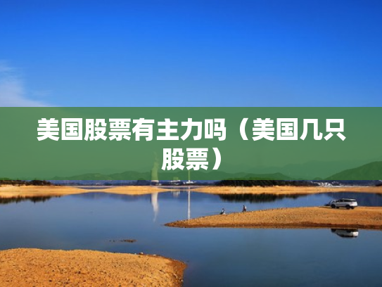 美国股票有主力吗（美国几只股票）