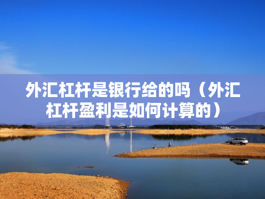 外汇杠杆是银行给的吗（外汇杠杆盈利是如何计算的）