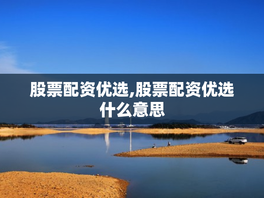 股票配资优选,股票配资优选什么意思