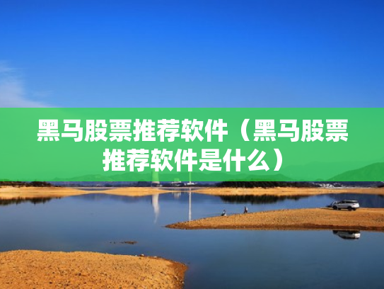 黑马股票推荐软件（黑马股票推荐软件是什么）