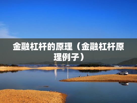 金融杠杆的原理（金融杠杆原理例子）