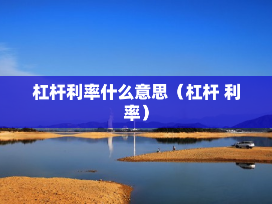 杠杆利率什么意思（杠杆 利率）