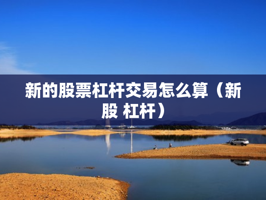 新的股票杠杆交易怎么算（新股 杠杆）