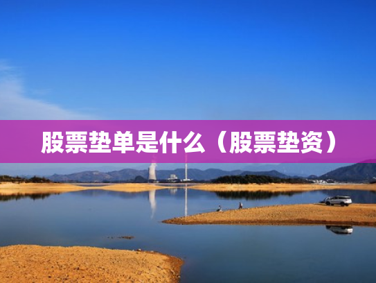 股票垫单是什么（股票垫资）