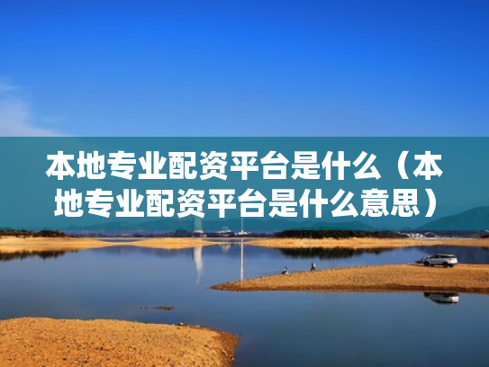 本地专业配资平台是什么（本地专业配资平台是什么意思）