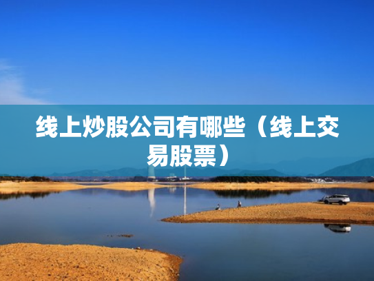 线上炒股公司有哪些（线上交易股票）