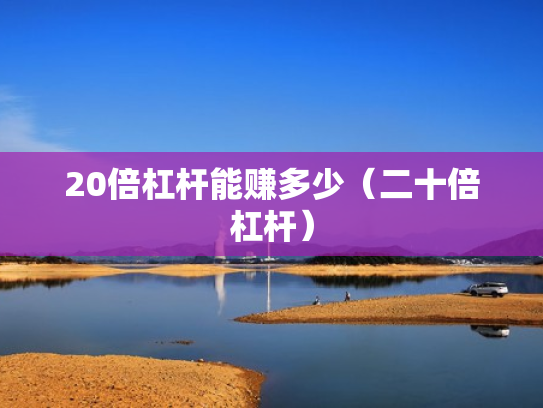 20倍杠杆能赚多少（二十倍杠杆）
