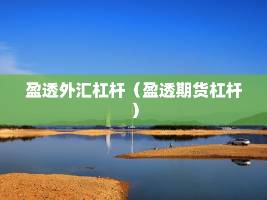 盈透外汇杠杆（盈透期货杠杆）