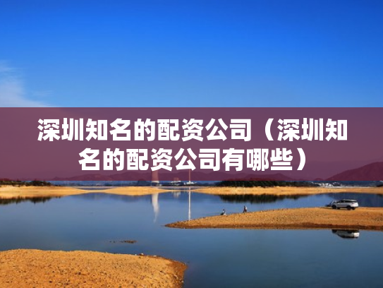 深圳知名的配资公司（深圳知名的配资公司有哪些）