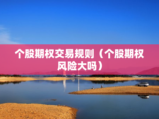 个股期权交易规则（个股期权风险大吗）