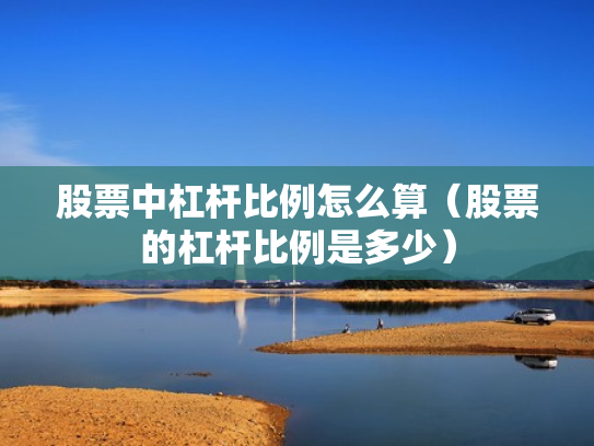 股票中杠杆比例怎么算（股票的杠杆比例是多少）