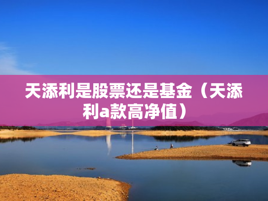 天添利是股票还是基金（天添利a款高净值）