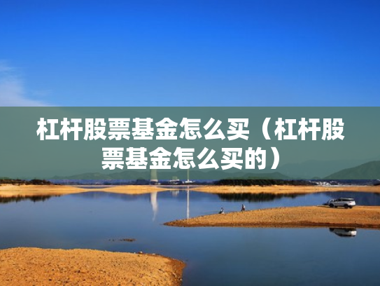 杠杆股票基金怎么买（杠杆股票基金怎么买的）
