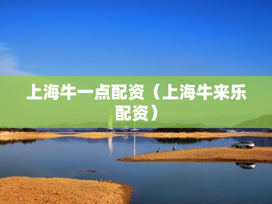 上海牛一点配资（上海牛来乐配资）