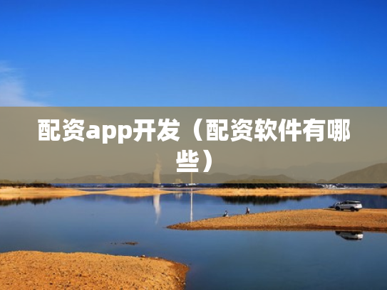 配资app开发（配资软件有哪些）