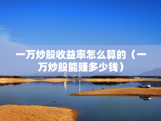 一万炒股收益率怎么算的（一万炒股能赚多少钱）