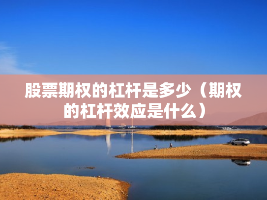 股票期权的杠杆是多少（期权的杠杆效应是什么）