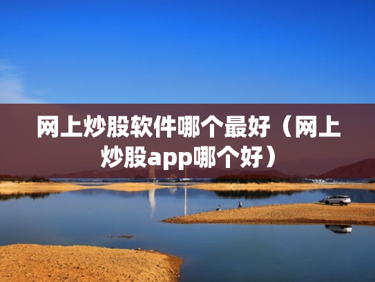 网上炒股软件哪个最好（网上炒股app哪个好）