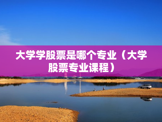 大学学股票是哪个专业（大学股票专业课程）