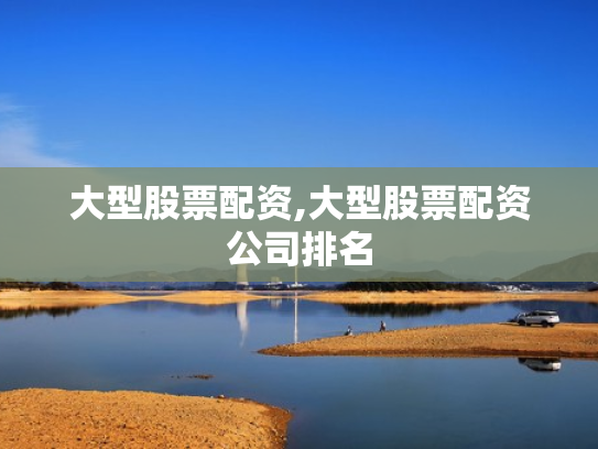 大型股票配资,大型股票配资公司排名