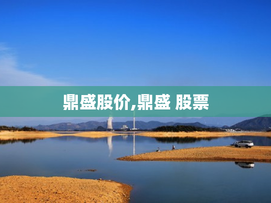 鼎盛股价,鼎盛 股票