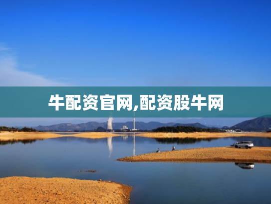 牛配资官网,配资股牛网