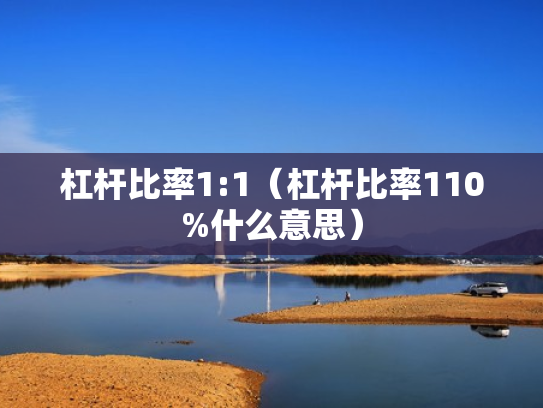 杠杆比率1:1（杠杆比率110%什么意思）